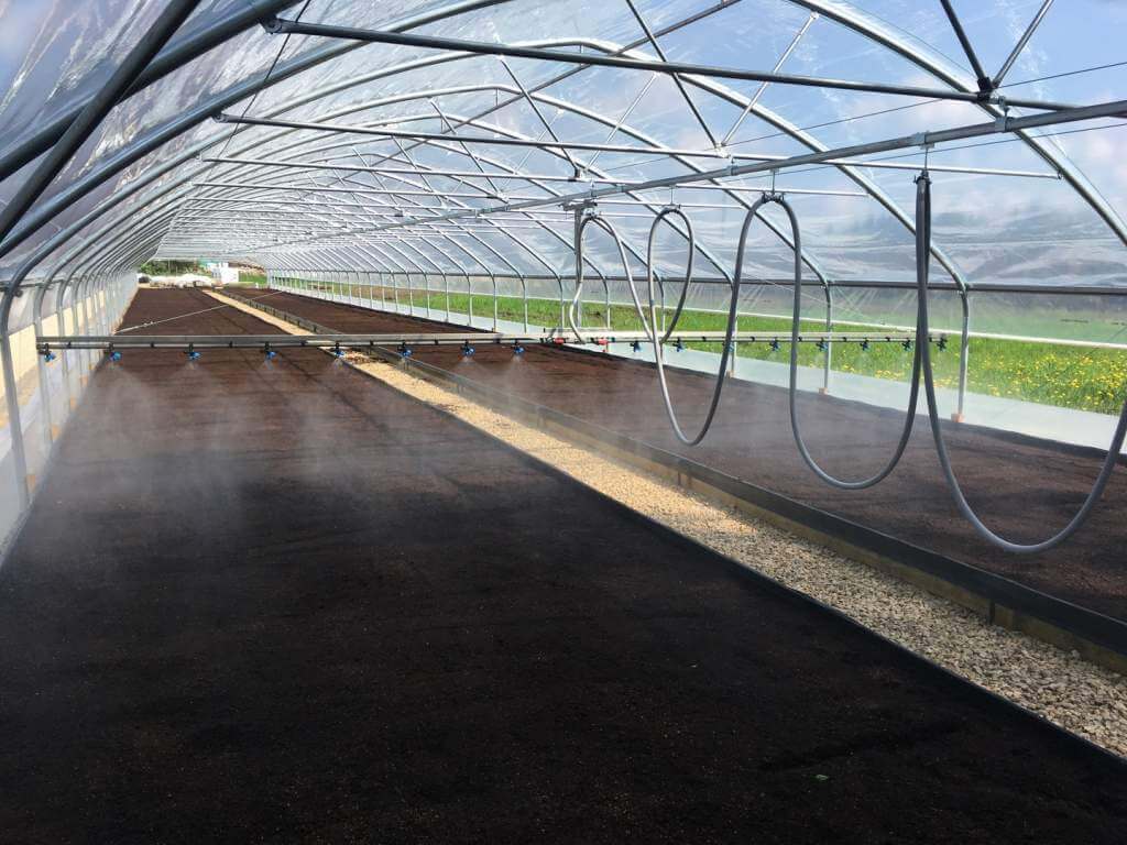 View from inside tunnel greenhouse showing growing beds and ventilation