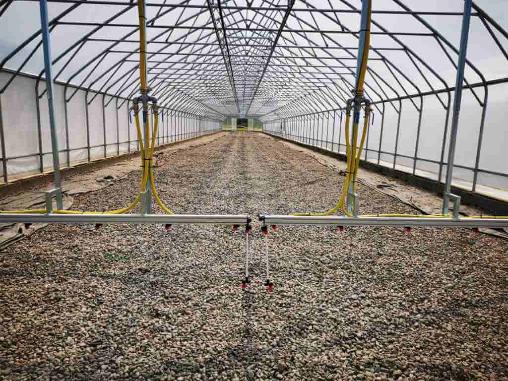 Galvanized steel framework inside single-span Easyart greenhouse with natural light