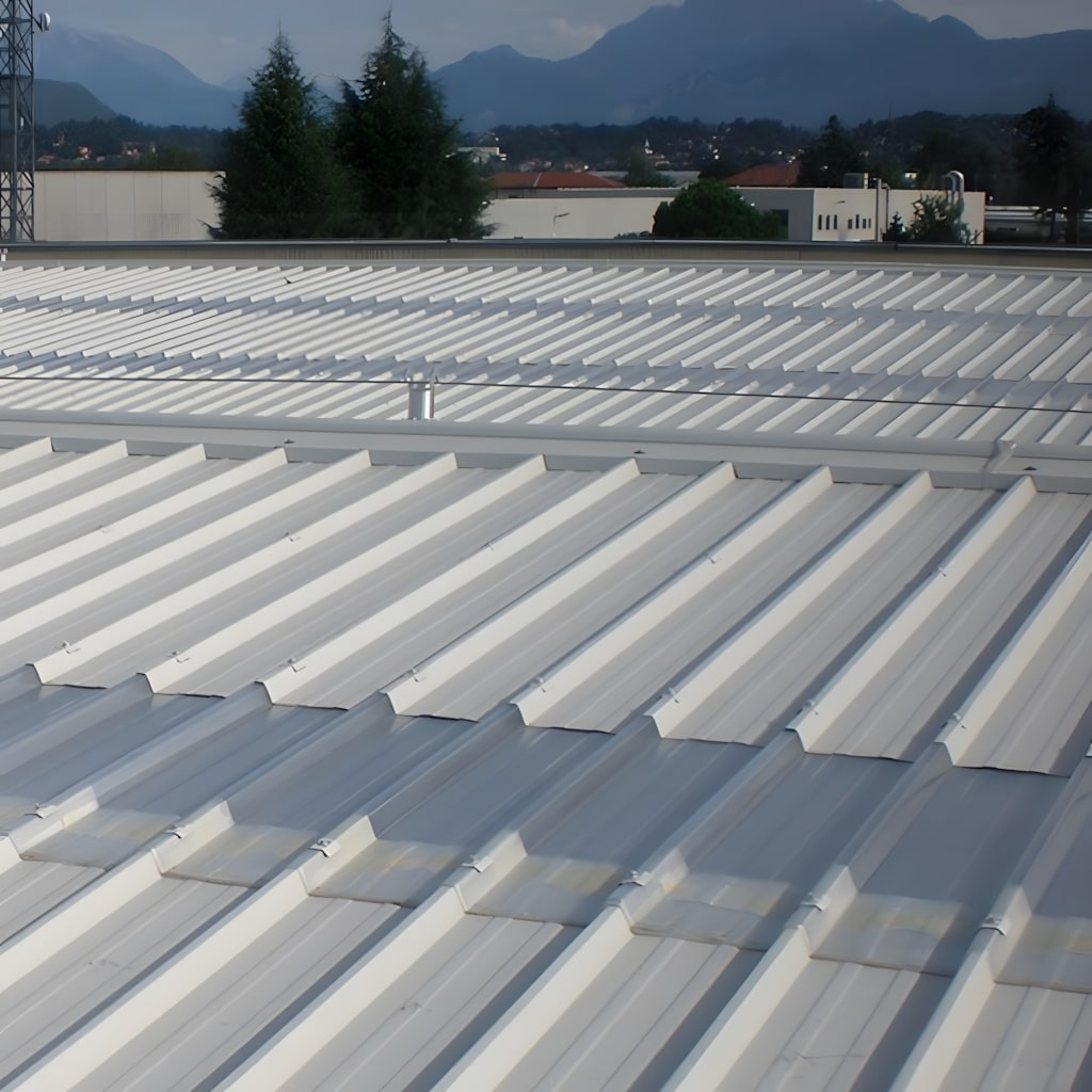 Clear corrugated multiwall polycarbonate roof