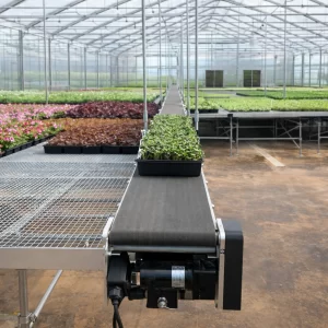 Industrial greenhouse conveyor system for transporting plant trays