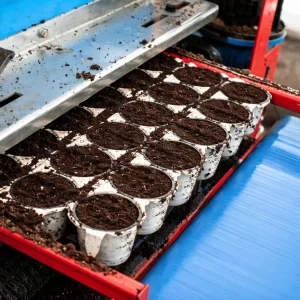 Close-up of tray filler distributing soil evenly into seedling trays
